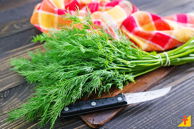 Dill - Endro