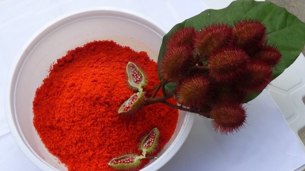 Urucum